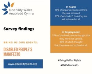 Stats on rights in health and employment, taken from the DW manifesto. 56% of respondents do not feel like their rights are enforced in health. 57% of disabled people do not think that their rights are upheld in employment.