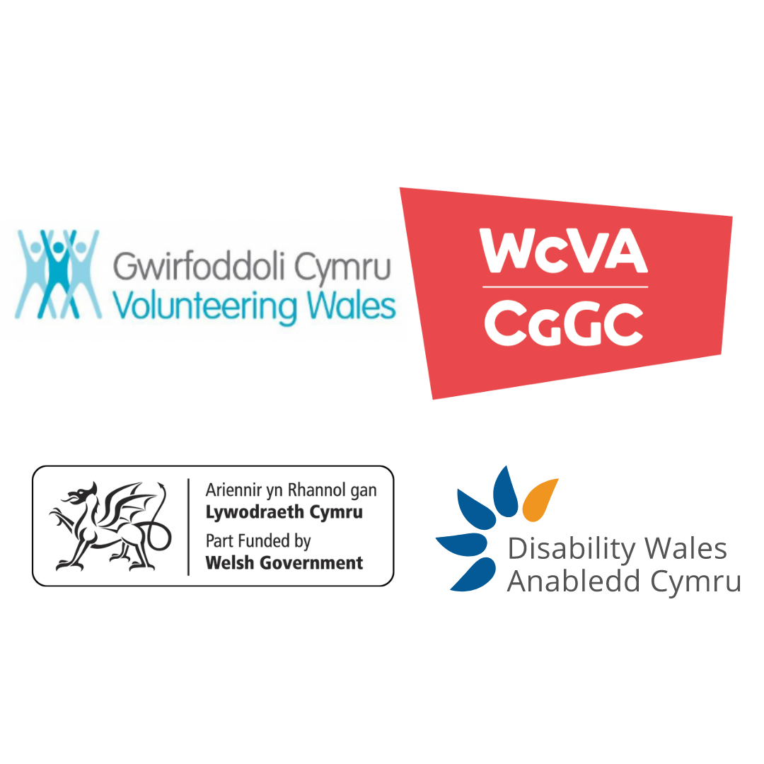 Logos of the organisations involved in the EQuip project. They are, volunteering Wales, WCVA, Welsh Government and Disability Wales