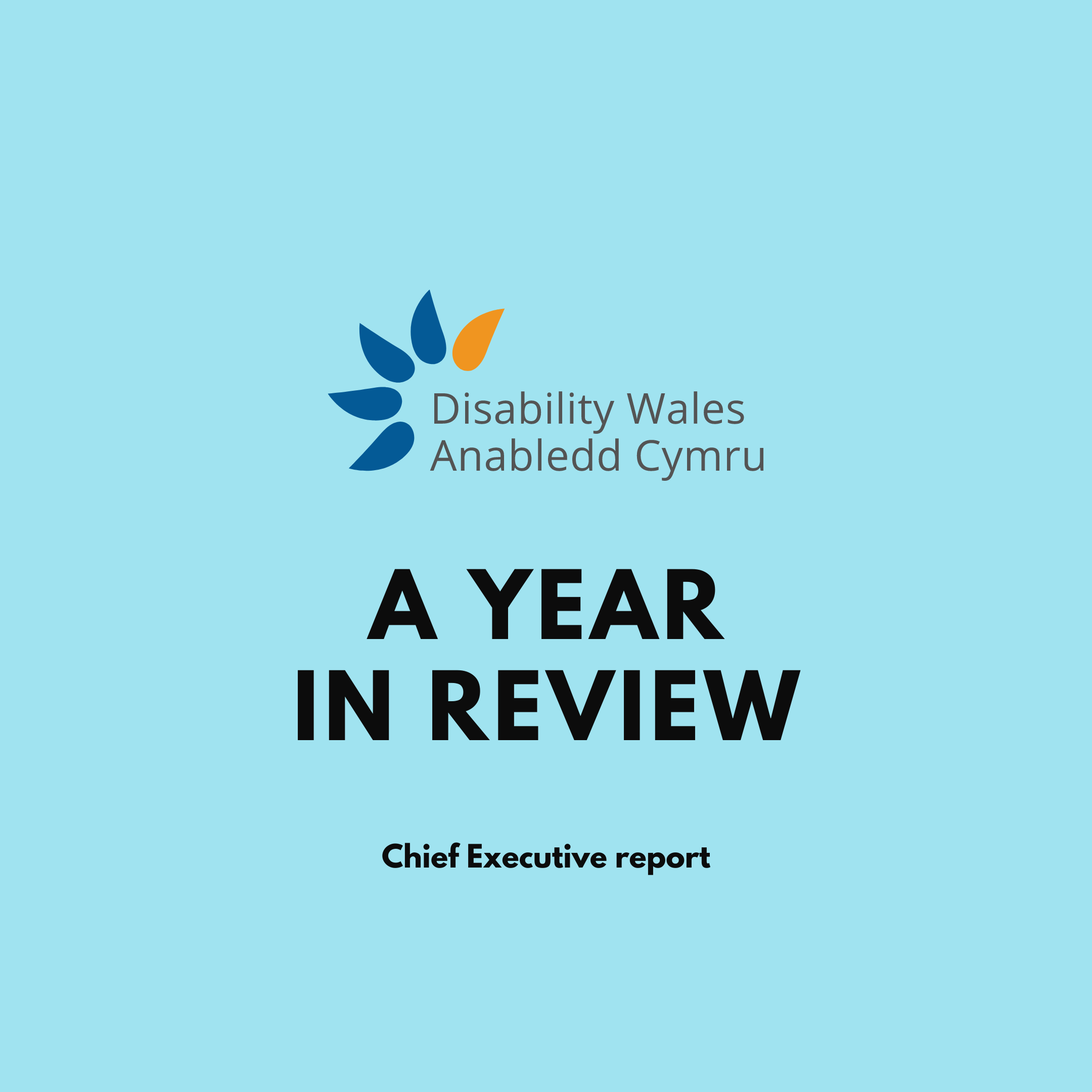 Disability Wales logo set against a light blue/green background. Bold black text is set in the centre underneath the logo, it reads A year in review. A tagline underneath the title reads Chief Executive report.