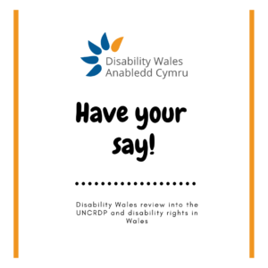 Black text on a white background underneath the DW logo, it reads: Have your say, Disability Wales review into the UNCRDP and disability rights in Wales