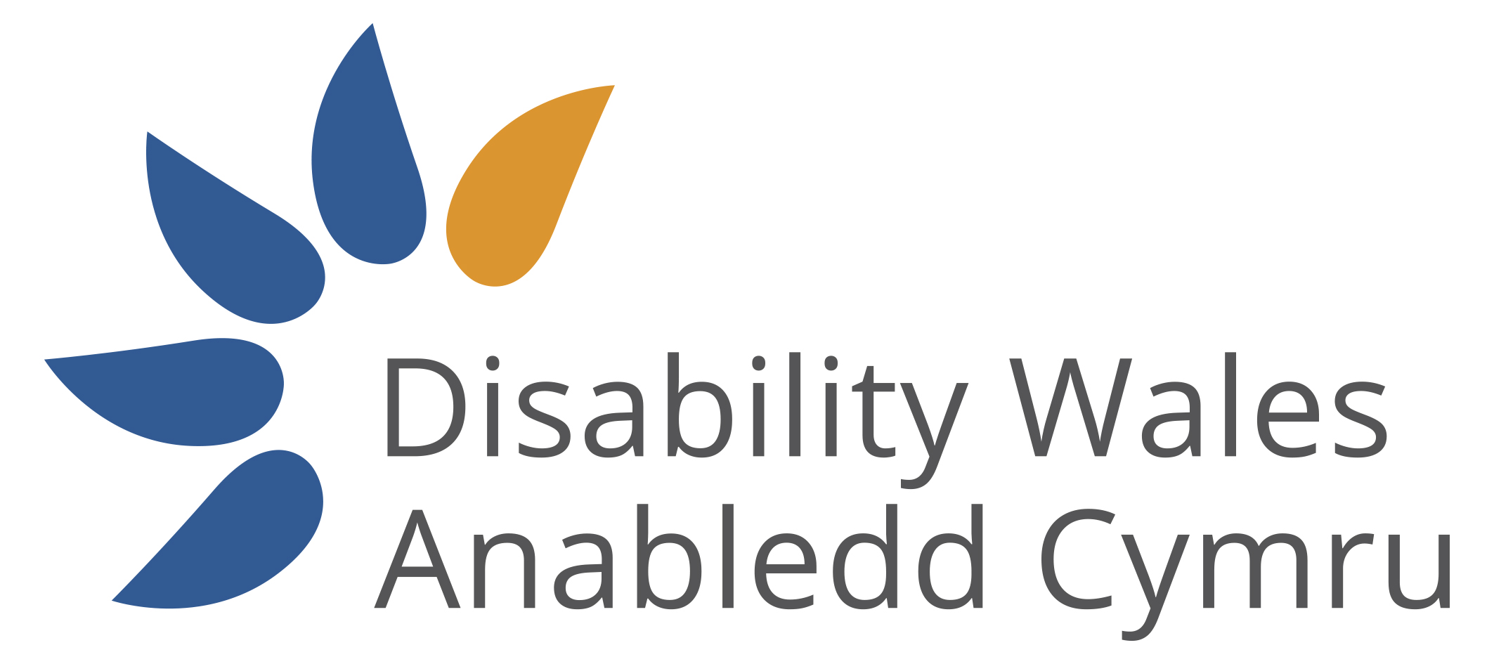 Disability Wales logo which has the organisation name in English and Welsh in plain text on a white background. The words are framed on the left hand side by four spirals in DW's trademark blue and orange colours.