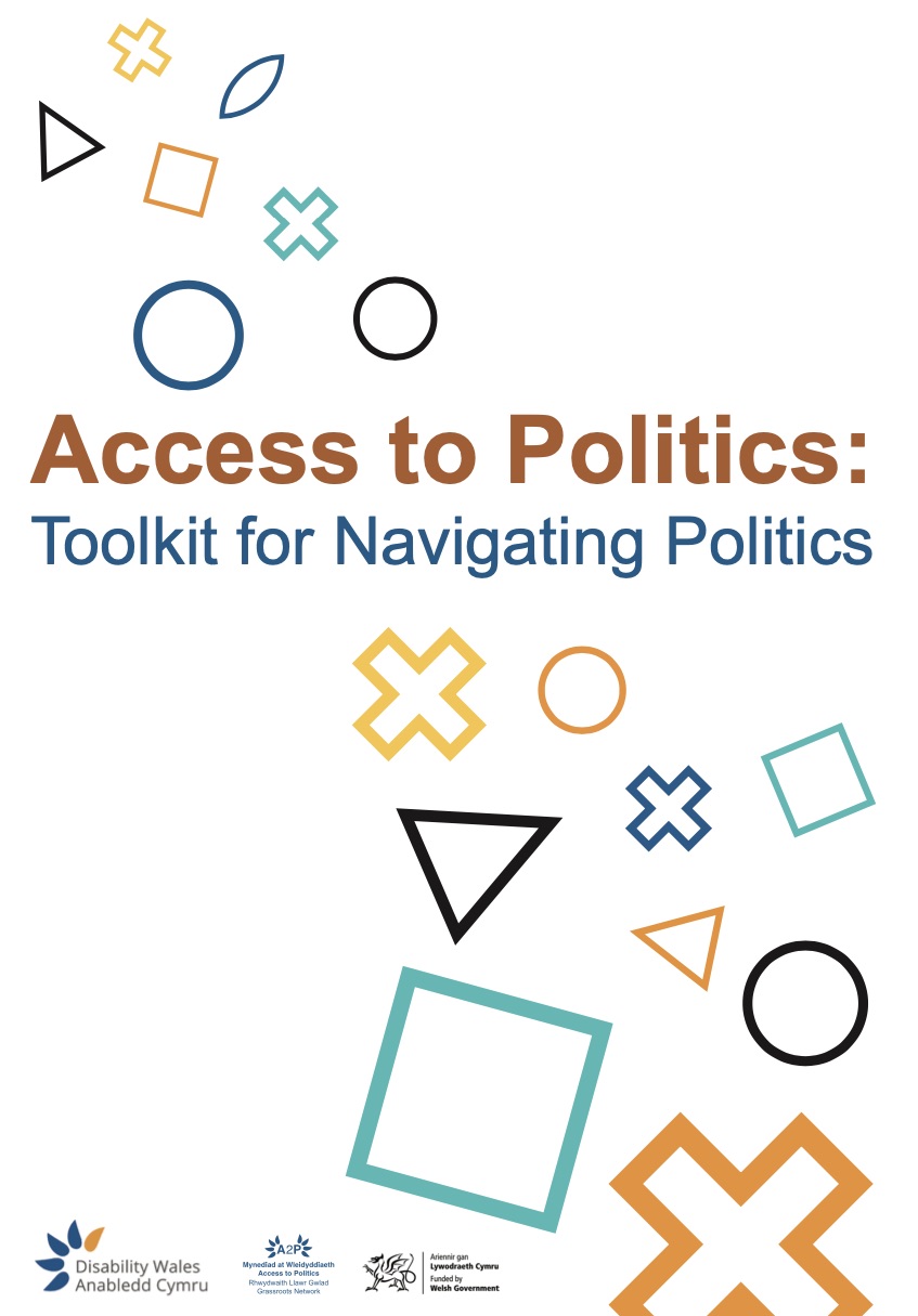 Thumbnail Image for Introducing the Access to Politics Toolkit